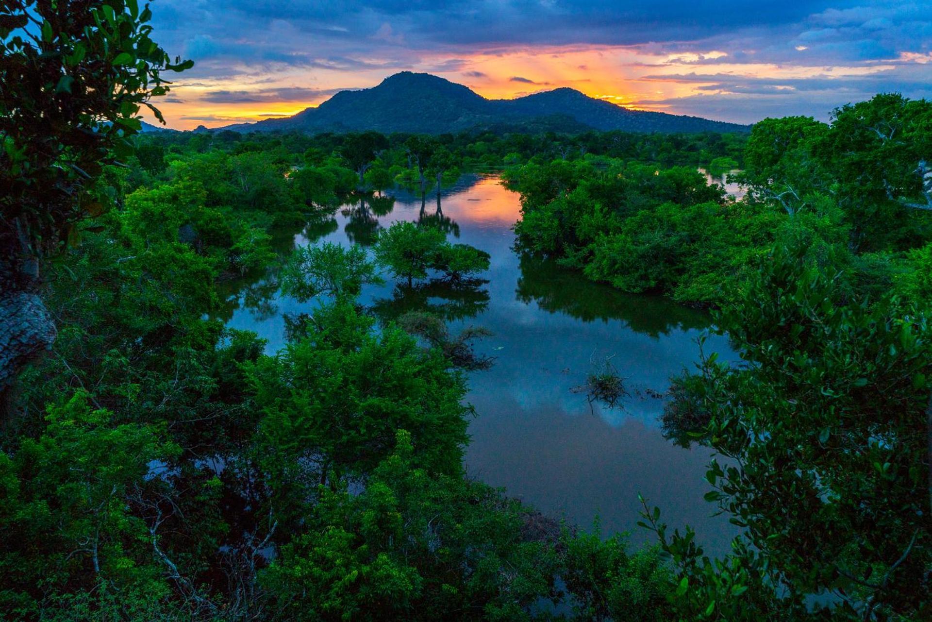 Hotel Kulu Safaris Yala Esterno foto